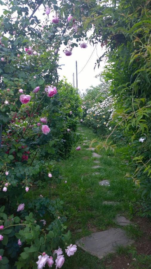 B&B Villa Giardini Susanna Gattico Екстериор снимка