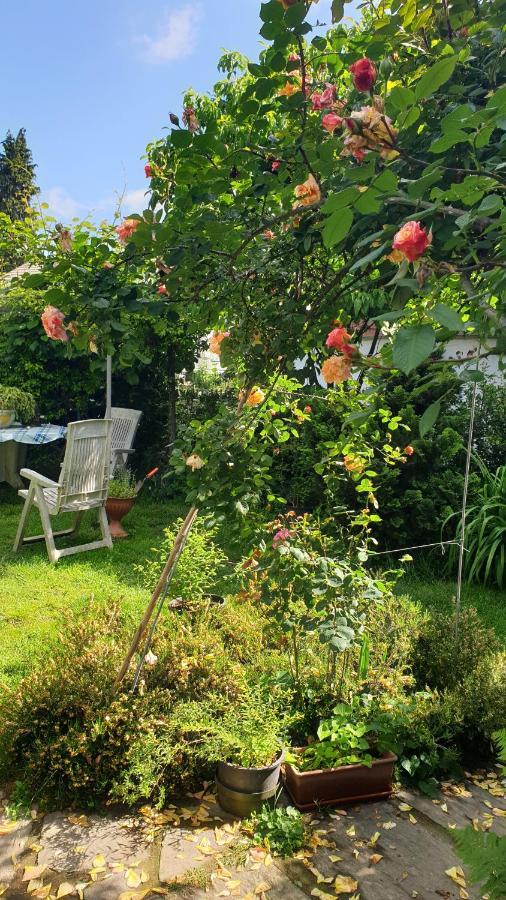 B&B Villa Giardini Susanna Gattico Екстериор снимка