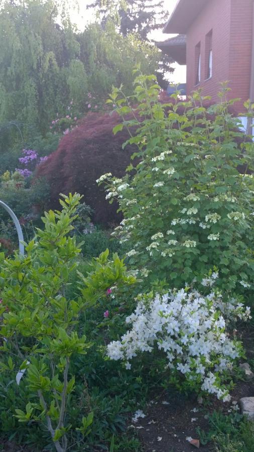 B&B Villa Giardini Susanna Gattico Екстериор снимка