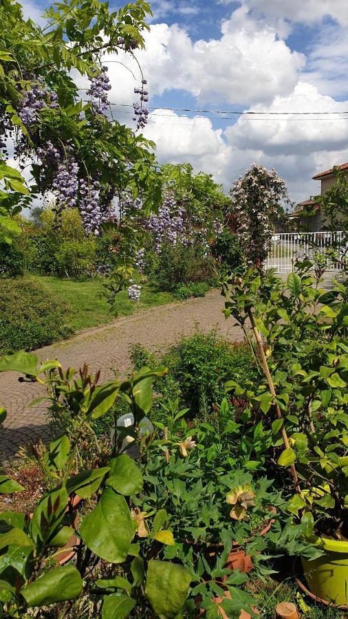 B&B Villa Giardini Susanna Gattico Екстериор снимка