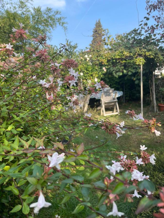B&B Villa Giardini Susanna Gattico Екстериор снимка