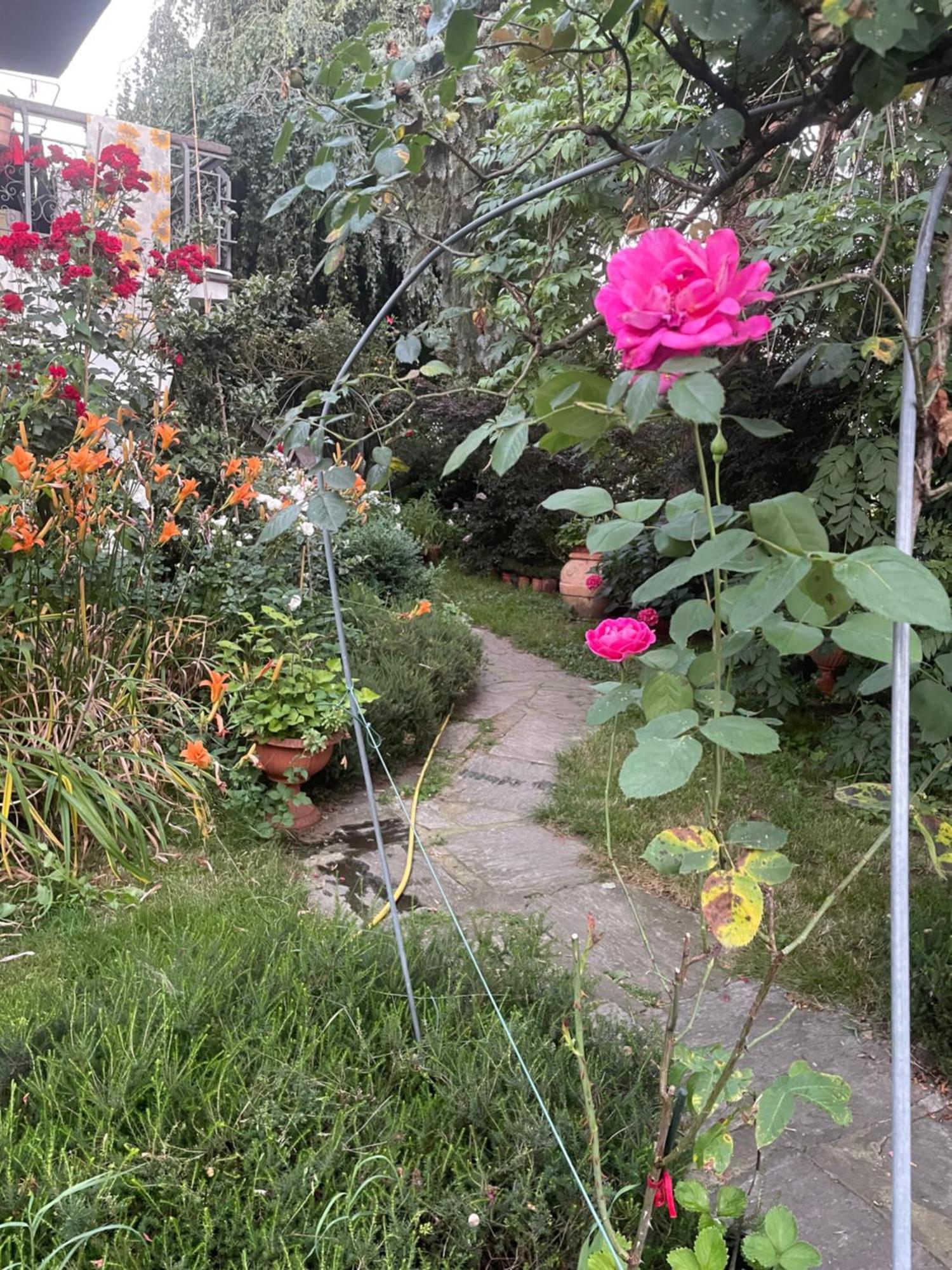 B&B Villa Giardini Susanna Gattico Екстериор снимка